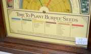 “Time To Plant Burpee Seeds” Shelf Clock