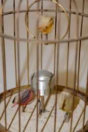 Rensie Germany Musical Alarm Bird Cage Clock