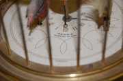 Rensie Germany Musical Alarm Bird Cage Clock