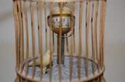 Japan Animated Bird in Cage Clock