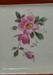 Antique Ansonia Royal Bonn "La Yard" China Clock