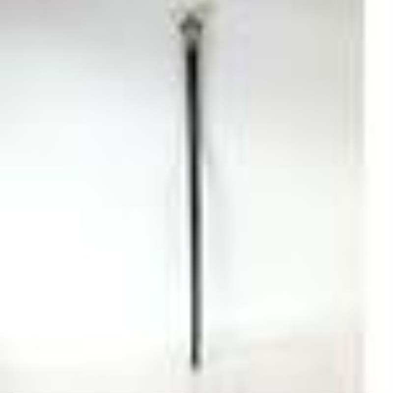Clock Mounted Ebonized Walking Stick / Cane