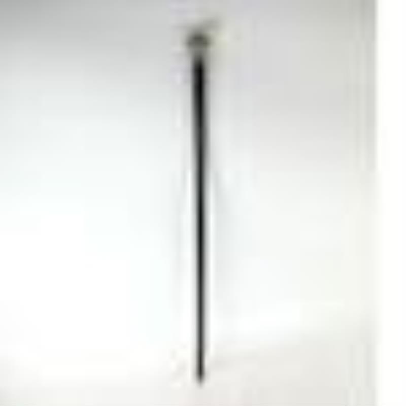 Clock Mounted Ebonized Walking Stick / Cane