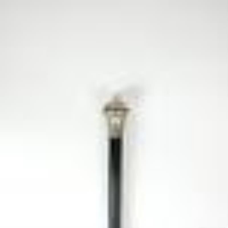 Clock Mounted Ebonized Walking Stick / Cane