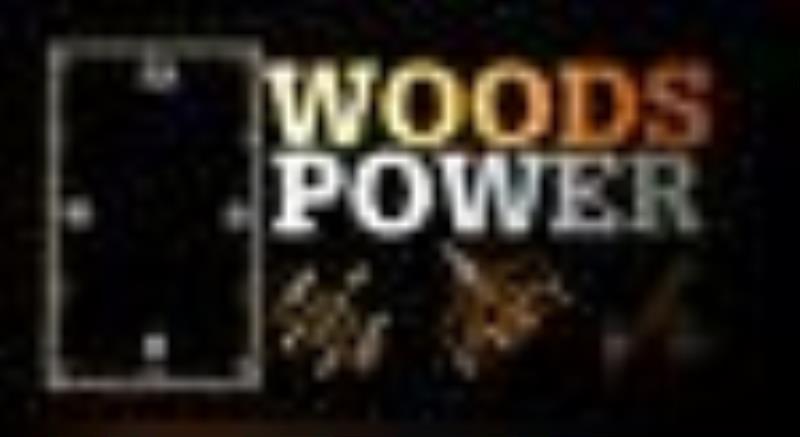 Woods Power (Equipment) Lighted Plastic Clock