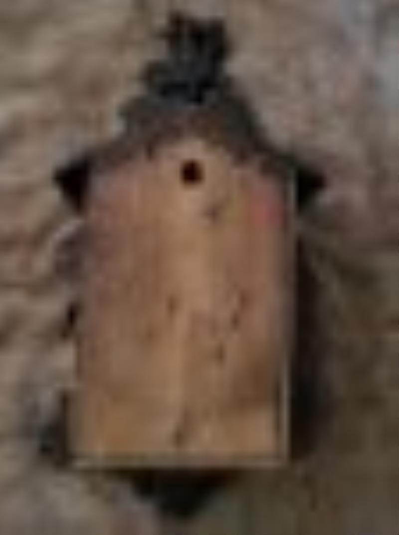 Cuckoo clock Price Guide