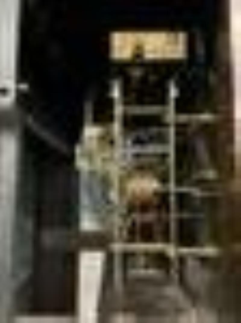 Mahogany Tall Case Clock with 13 Tubular Chimes