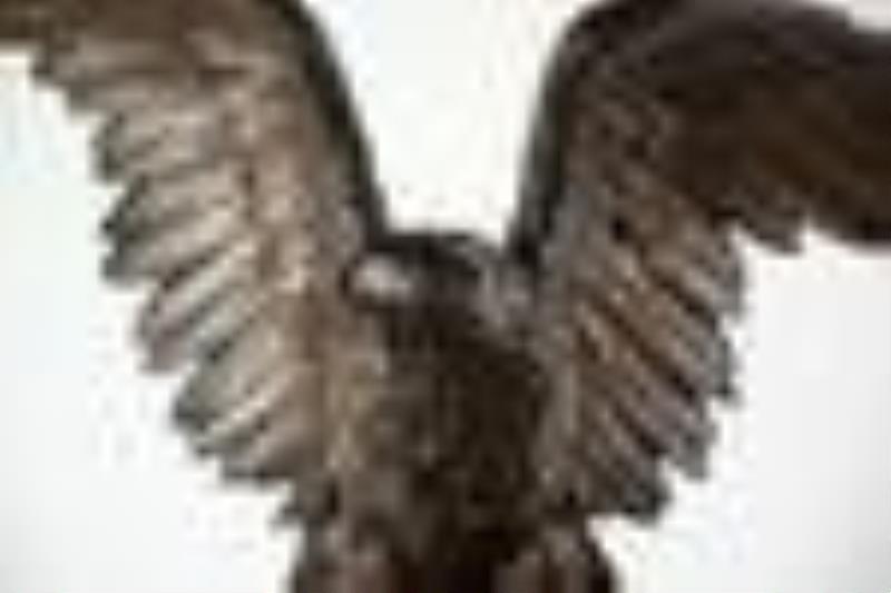 19th C Monumental Black Forest Eagle and Chamois Clock