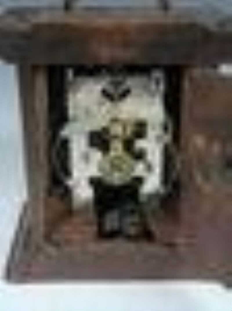 German Alarm & Cylinder Musical Clock