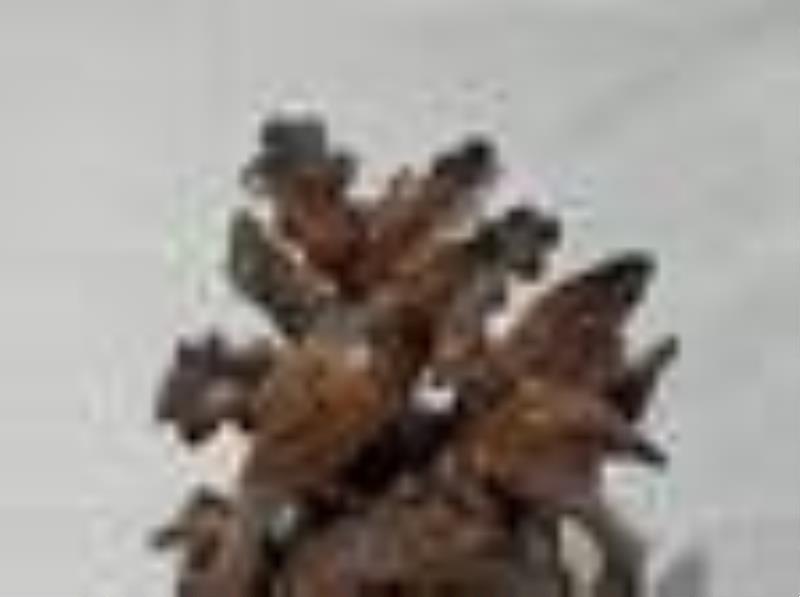 Black Forest Carved Wooden Clock