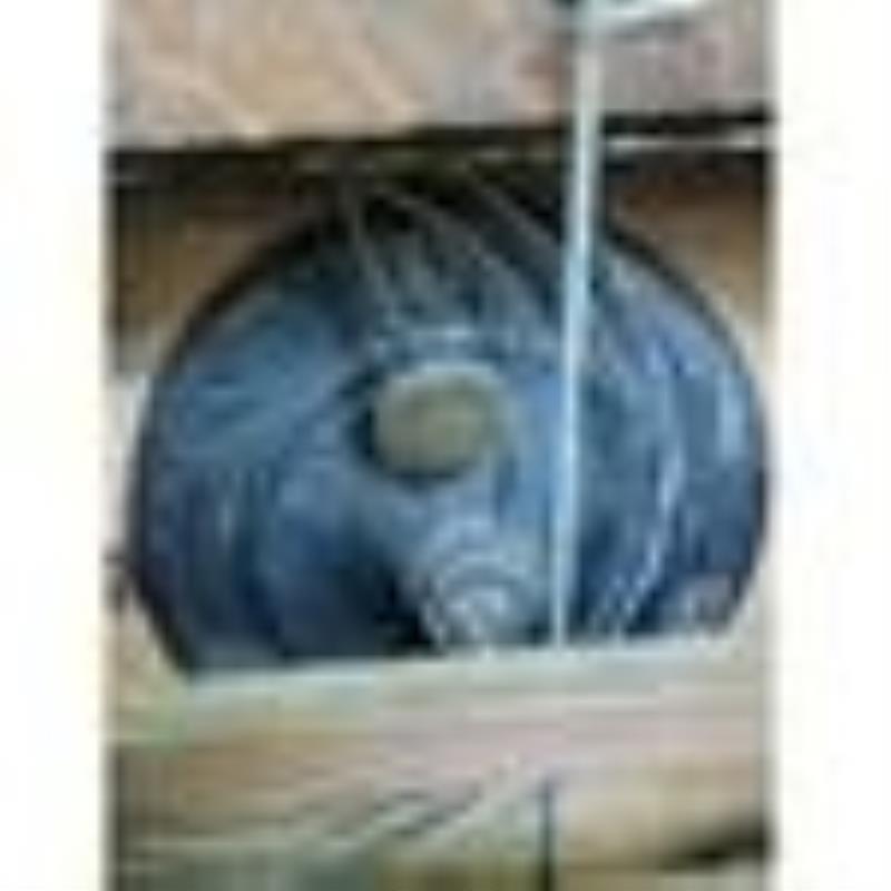 Shelf Clock Ca 1820 Carved Eagle & Seascape Claw Feet