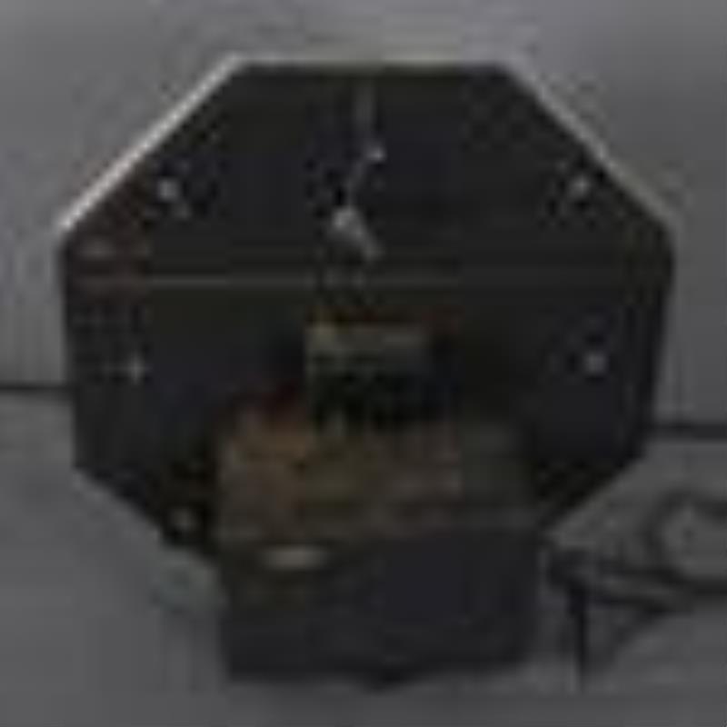 Bengal Ranges w/Logo Octagon Neon Clock
