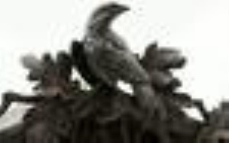 Black Forest Carved Shelf Cuckoo Clock