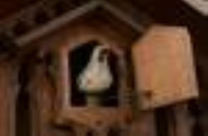 Black Forest Carved \\\”Chalet\\\” Cuckoo Clock