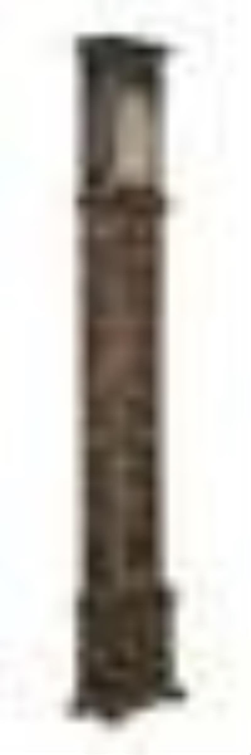 William and Mary Chinoiserie Tall Case Clock
