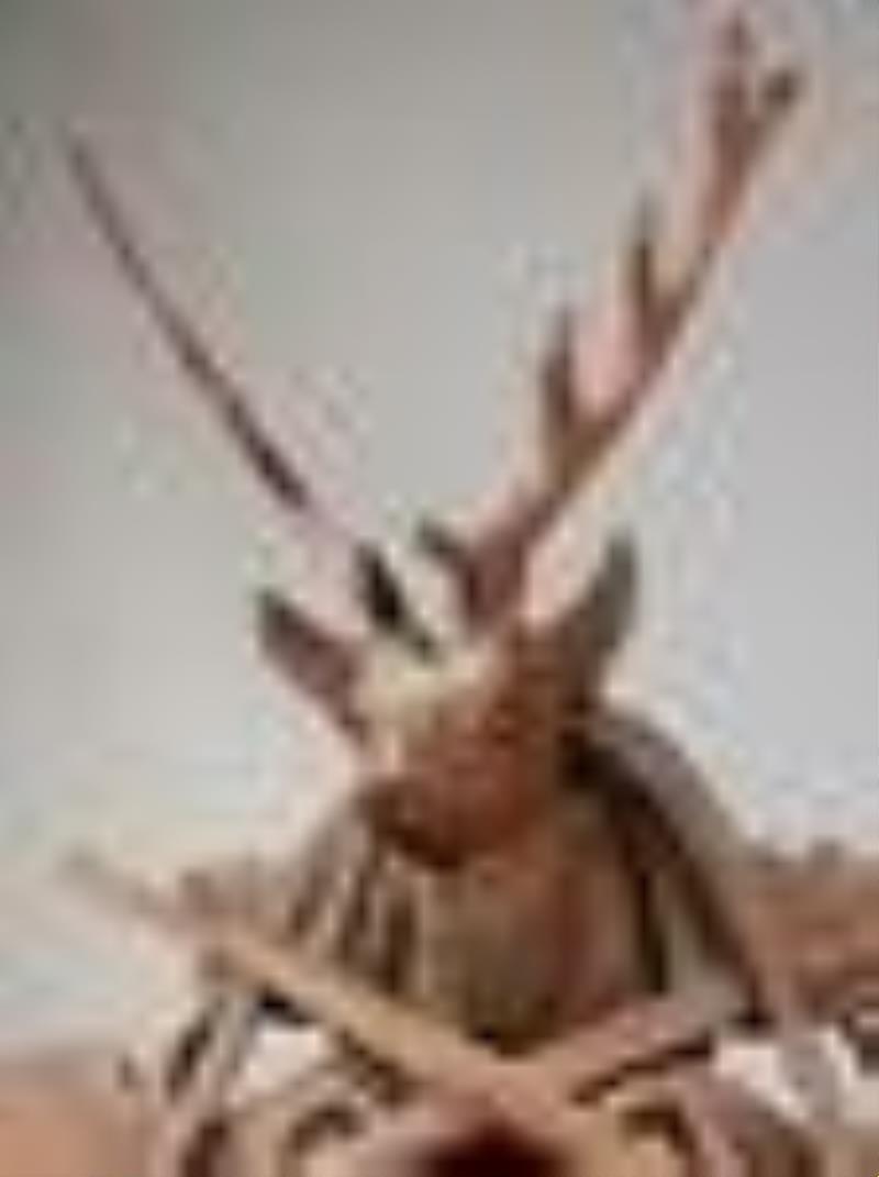 Regula German Cuckoo Clock