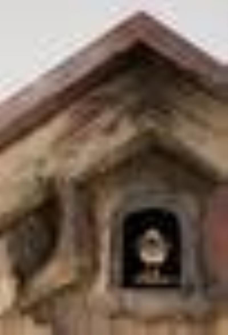German Cuckoo Clock