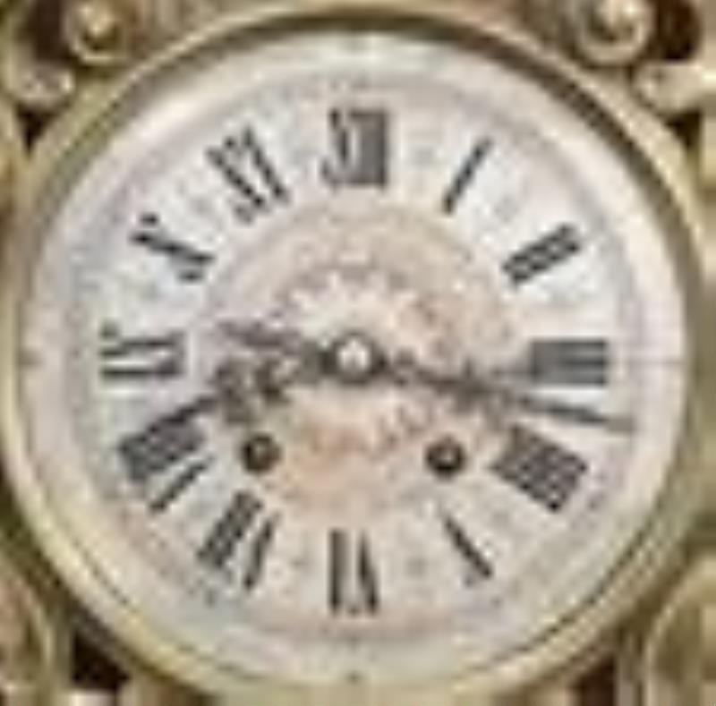 Lenzkirch Cockatiel Wall Clock