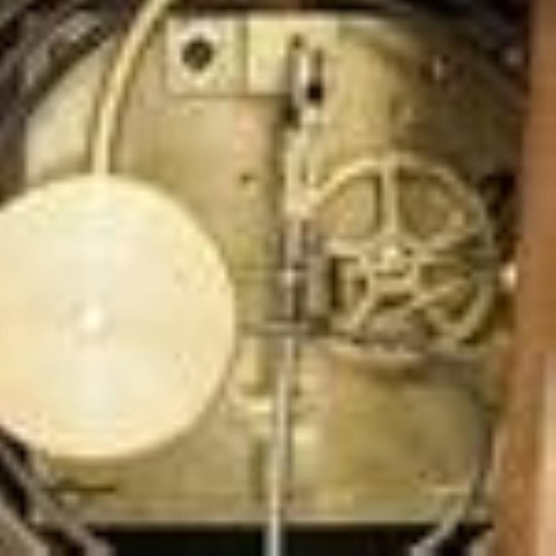 Lenzkirch Cockatiel Wall Clock