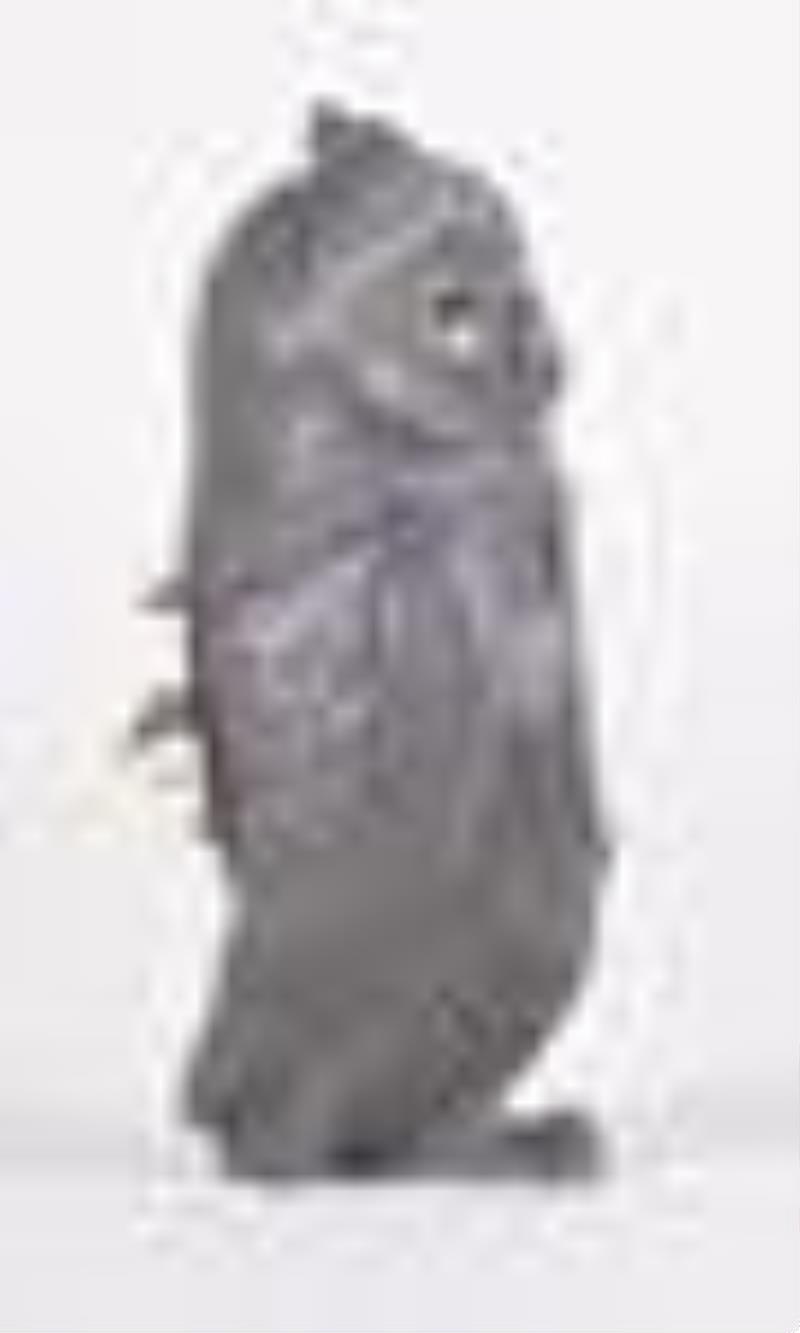 An early 20th century German owl form novelty clock