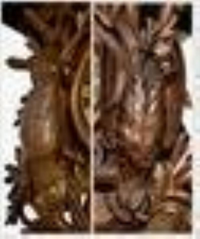 Very Large Hunter Cuckoo Clock