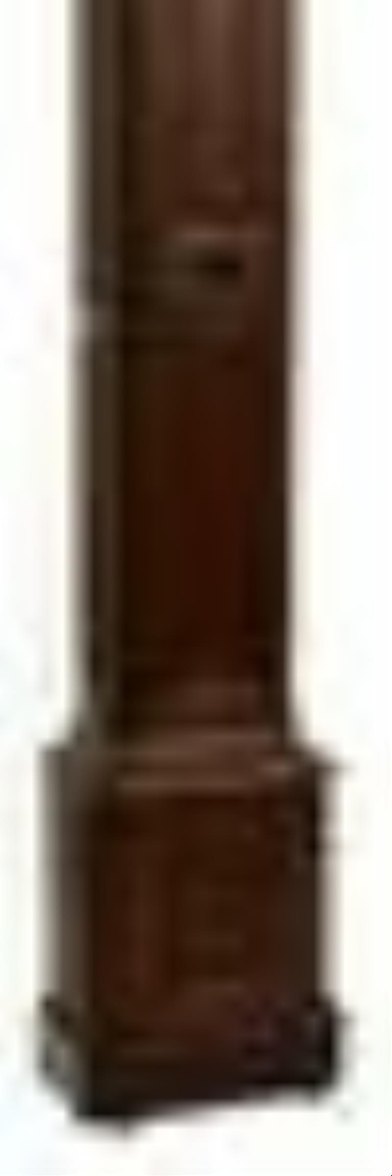 Joannes Augustinus (1735-1790) Oak Longcase Clock