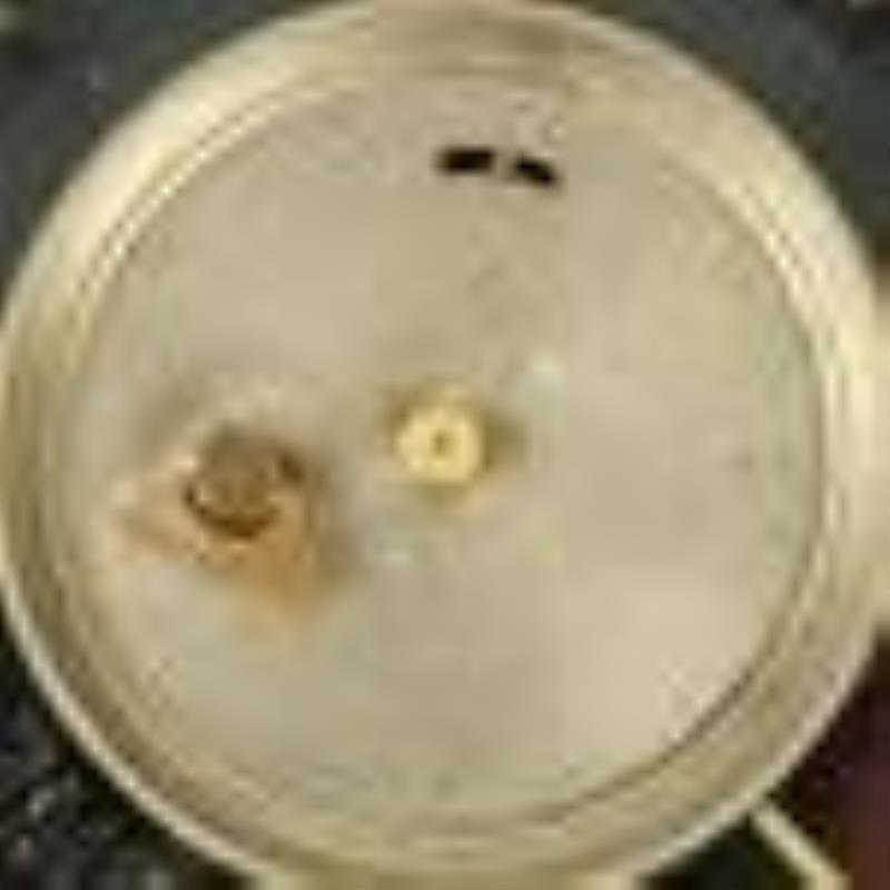 Reverse Gilt Painted Glass Wall Clock