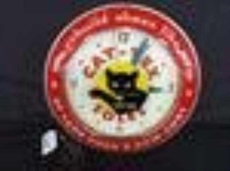 Excellent Cat-Tex Soles lighted clock