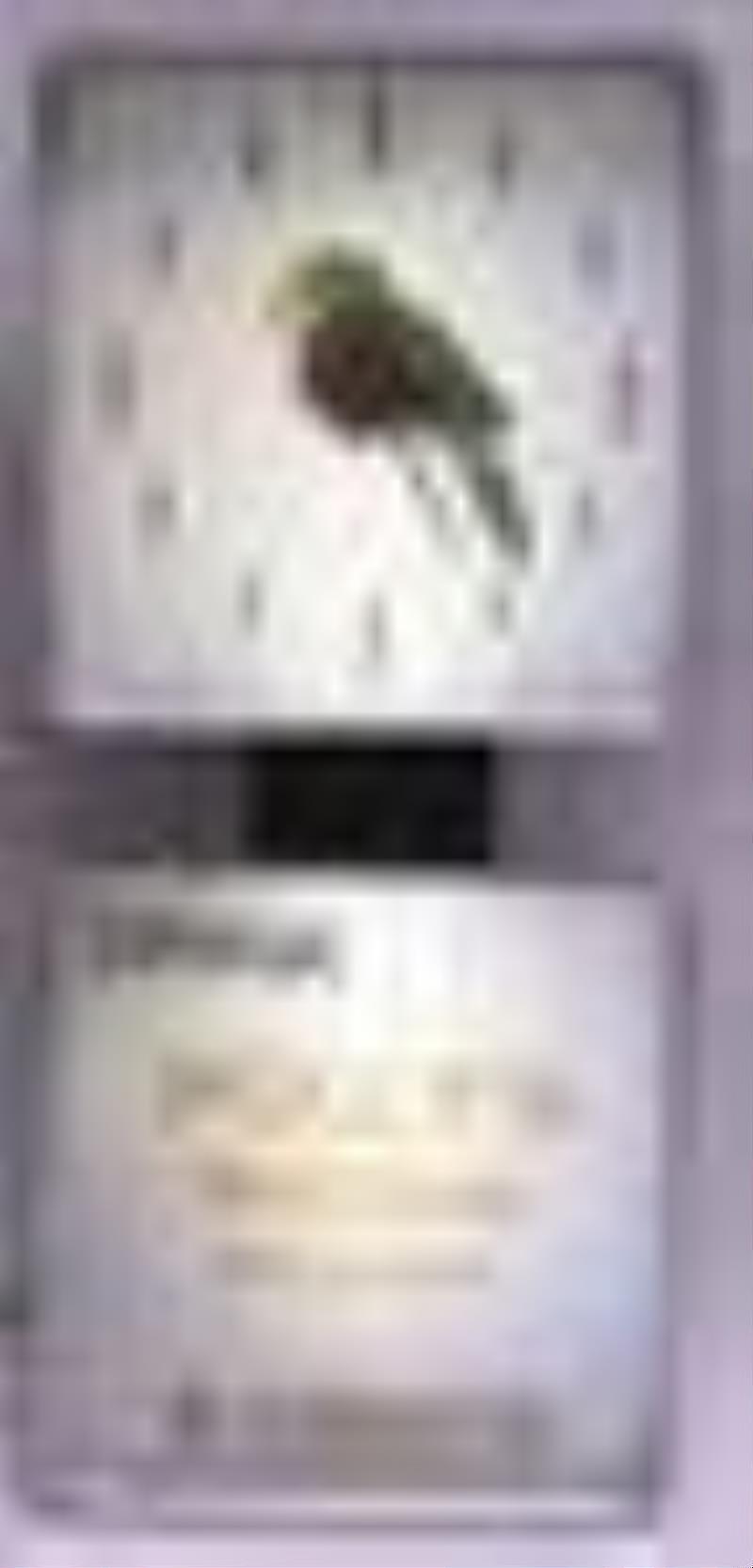 Polly's Soda Pop Lighted Fantasy Clock