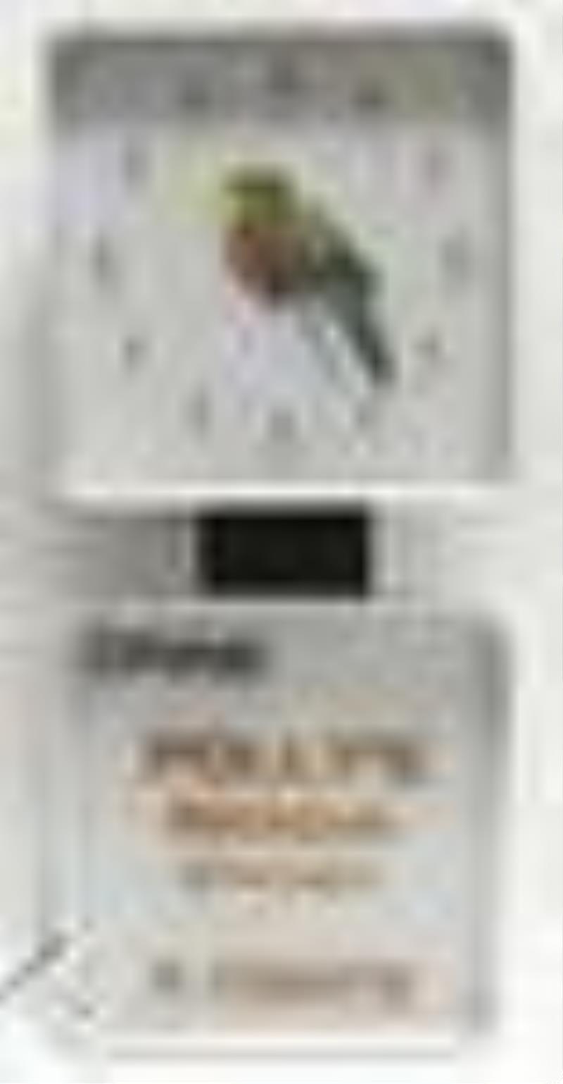 Polly's Soda Pop Lighted Fantasy Clock