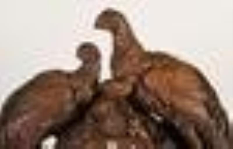 Black Forest shelf cuckoo clock with hand carved pheasant scene