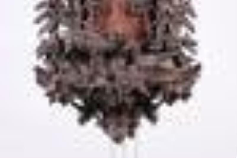 Black Forest very large musical cuckoo clock