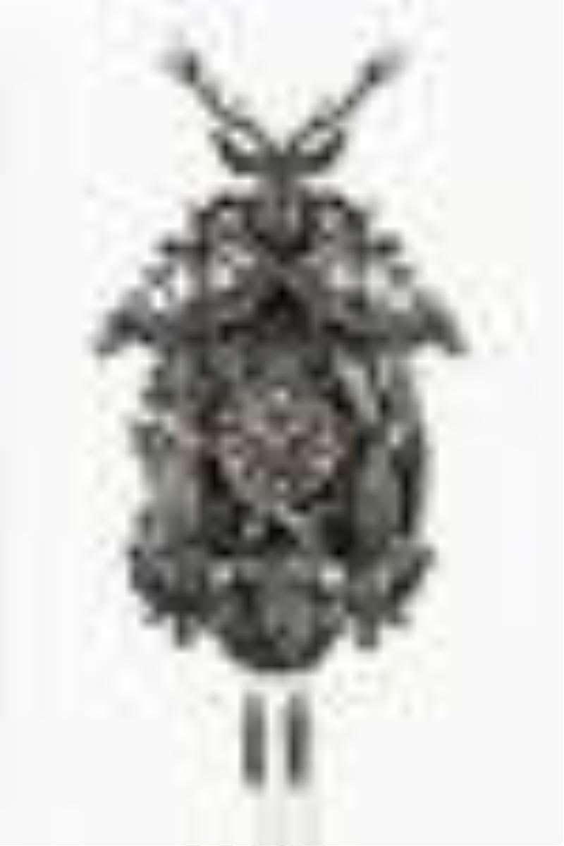 Hubert Herr, Black Forest cuckoo clock with large hand carved hunter style case