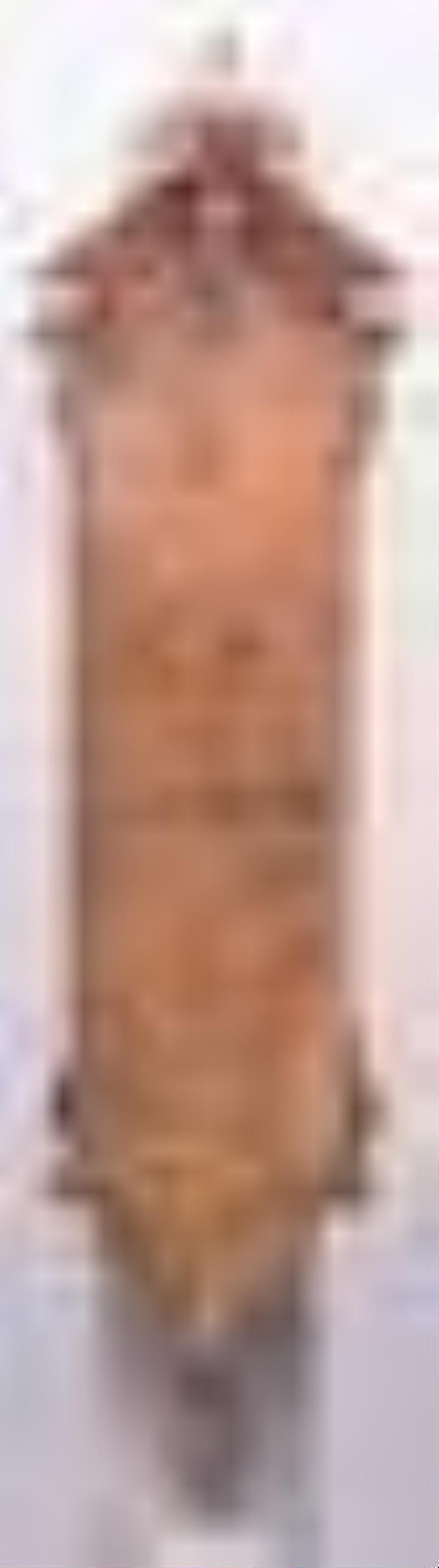 George Jones Vienna regulator style wall clock